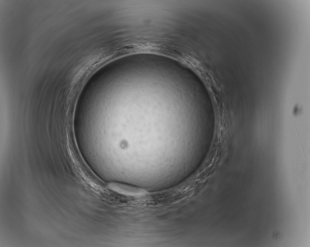 X0000113260097200909171659