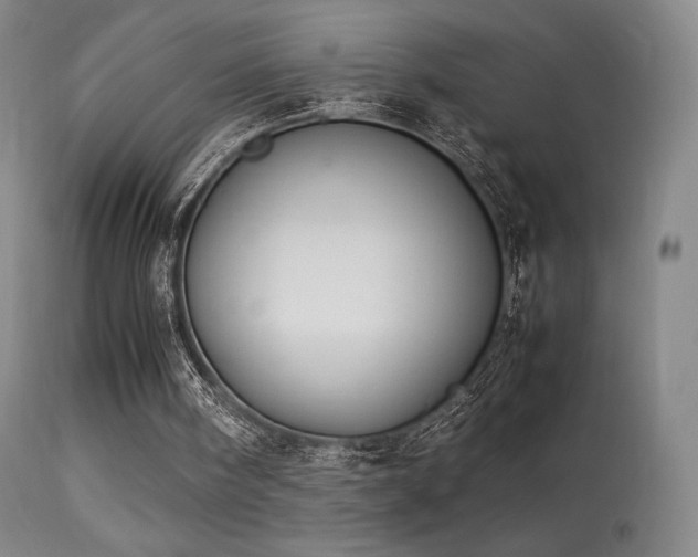 X0000113260098200909171659