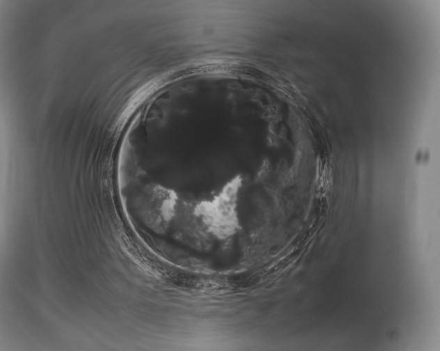 X0000113260099200909171659