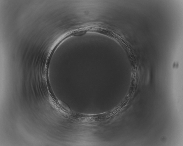 X0000113260100200909171659