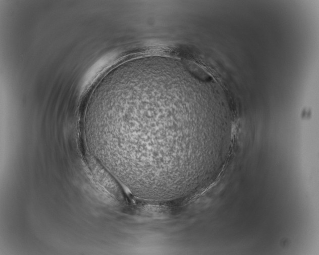 X0000113260101200909171659