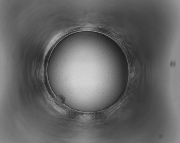 X0000113260102200909171659