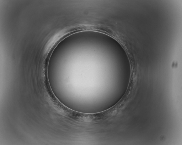 X0000113260103200909171659