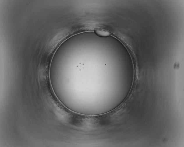 X0000113260105200909171659