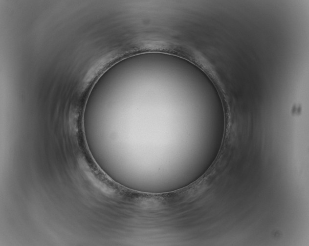 X0000113260106200909171659