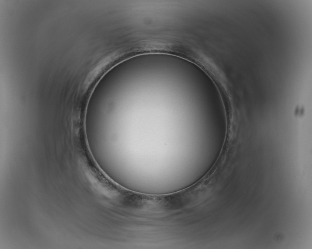 X0000113260107200909171659