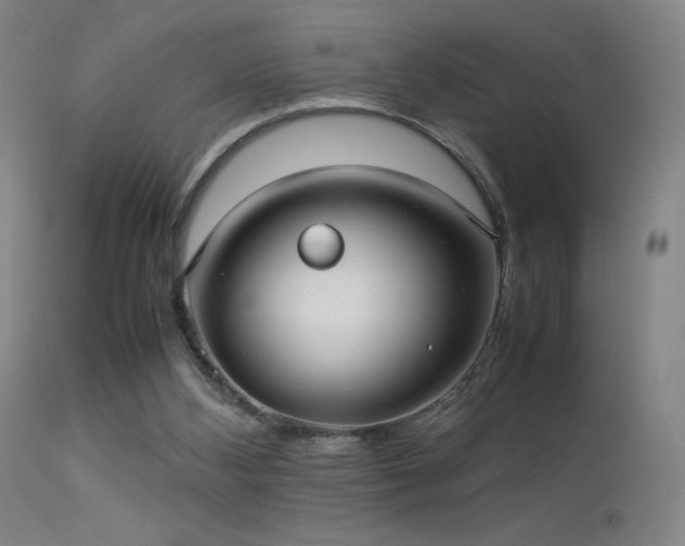 X0000113260108200909171659