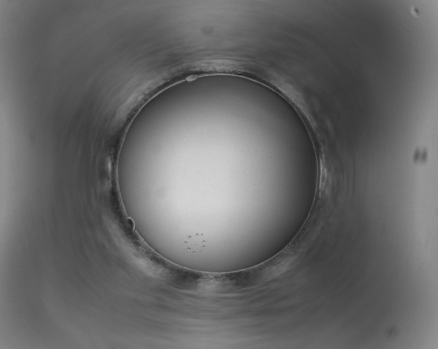 X0000113260109200909171659