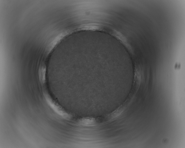 X0000113260110200909171659