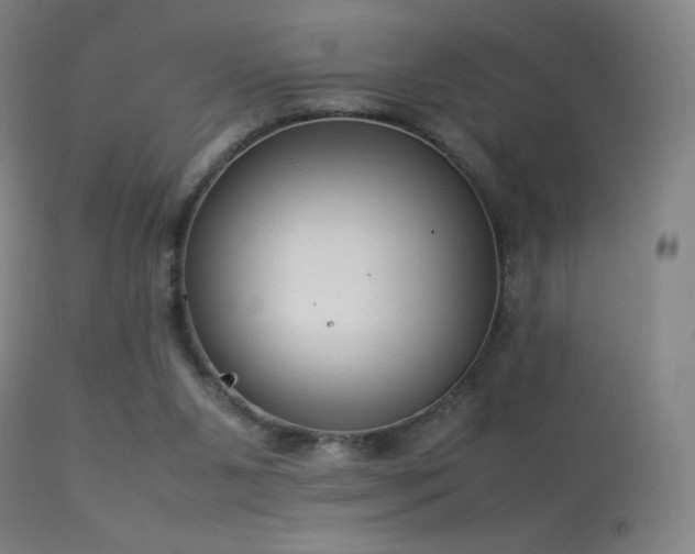 X0000113260111200909171659