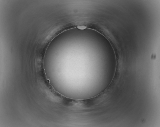 X0000113260113200909171659