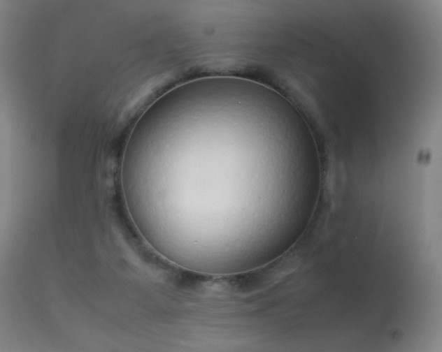 X0000113260115200909171659