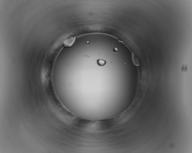 X0000113260116200909171659