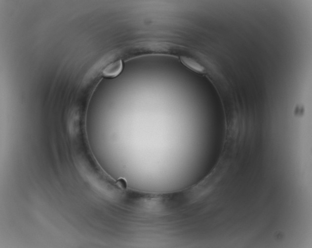 X0000113260120200909171659