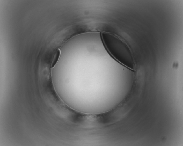 X0000113260121200909171659