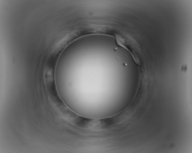 X0000113260123200909171659