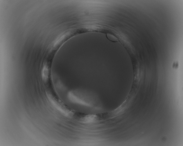 X0000113260124200909171659