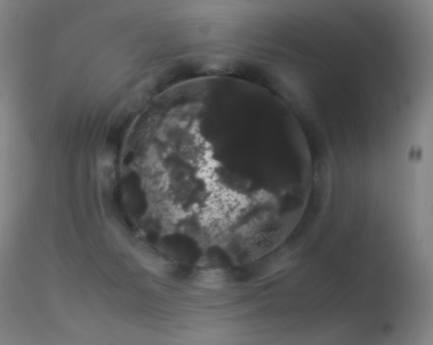 X0000113260127200909171659