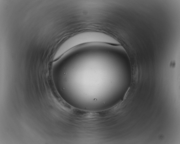 X0000113260128200909171659