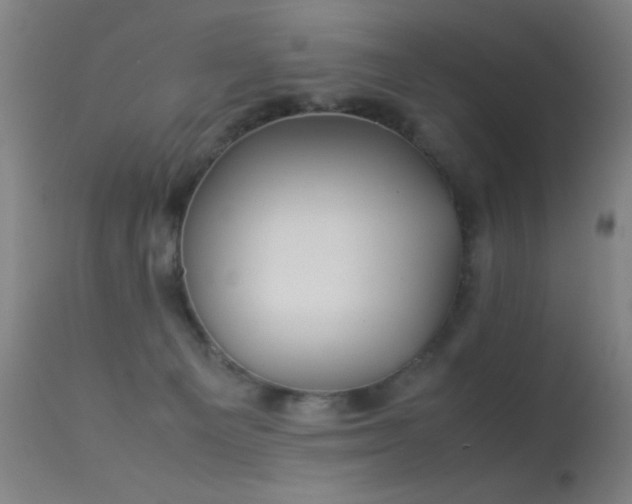 X0000113260129200909171659