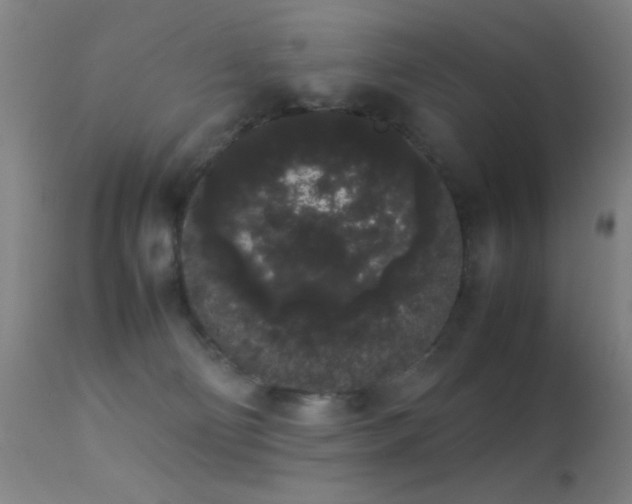 X0000113260130200909171659