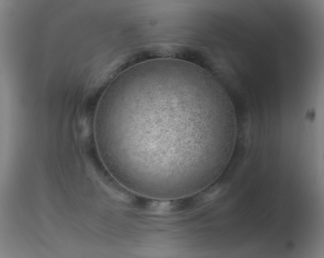 X0000113260131200909171659