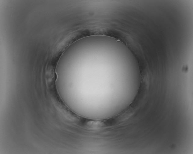 X0000113260133200909171659