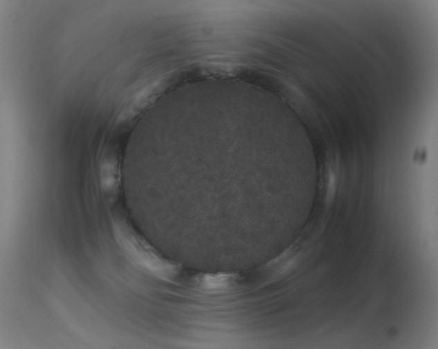 X0000113260134200909171659