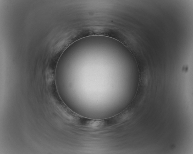 X0000113260135200909171659