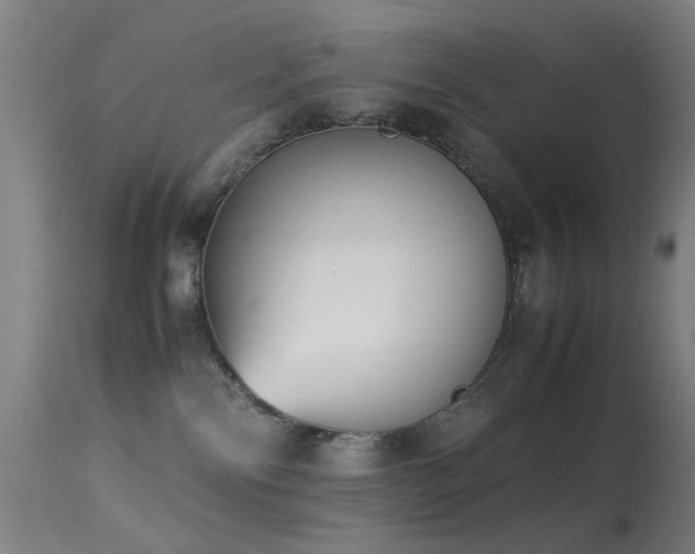 X0000113260138200909171658