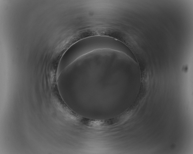 X0000113260139200909171658