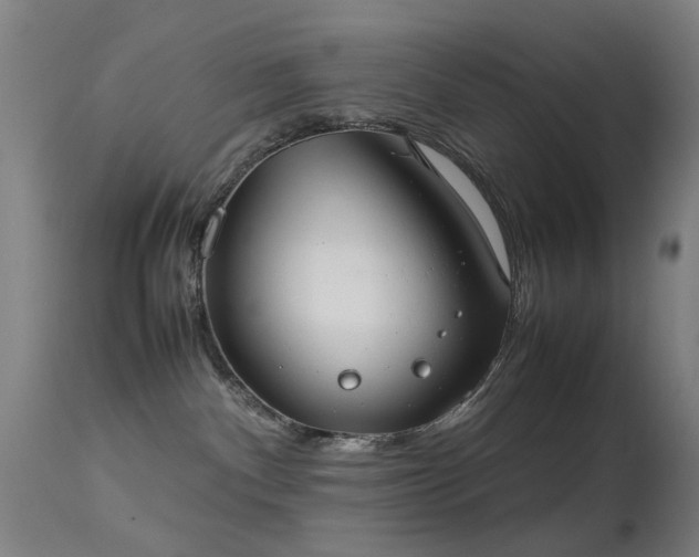 X0000113260140200909171658