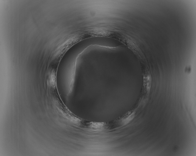 X0000113260143200909171658