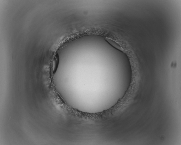 X0000113260144200909171658