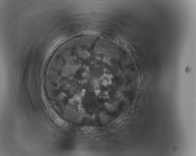 X0000113260145200909171658