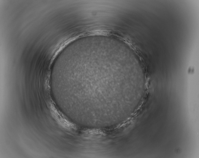 X0000113260146200909171658