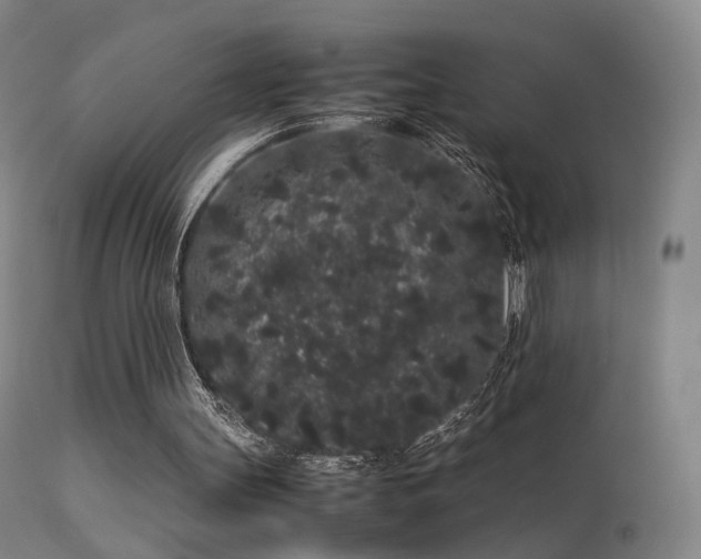 X0000113260147200909171658