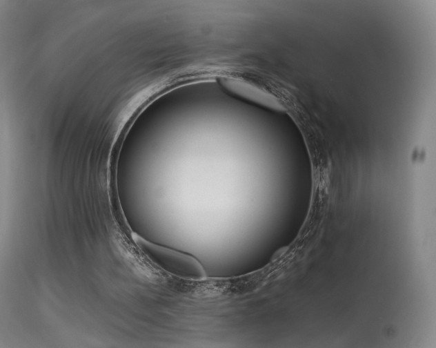 X0000113260148200909171658