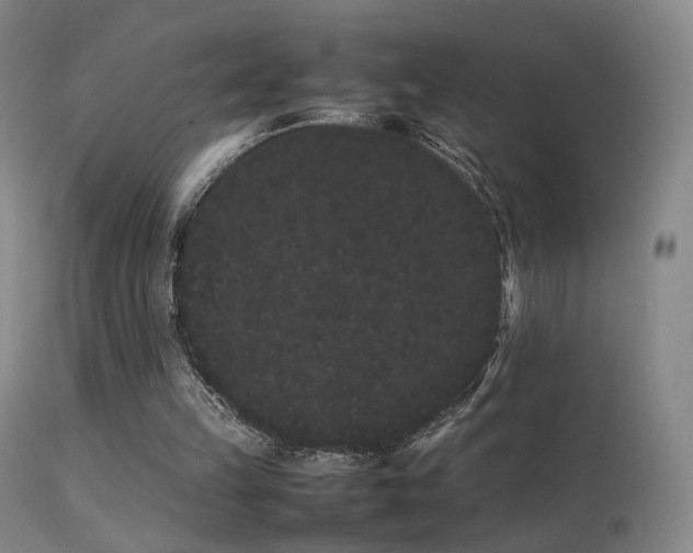 X0000113260149200909171658