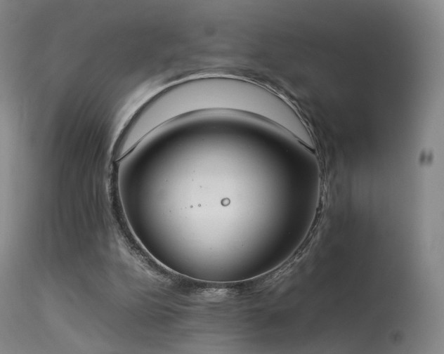 X0000113260152200909171658