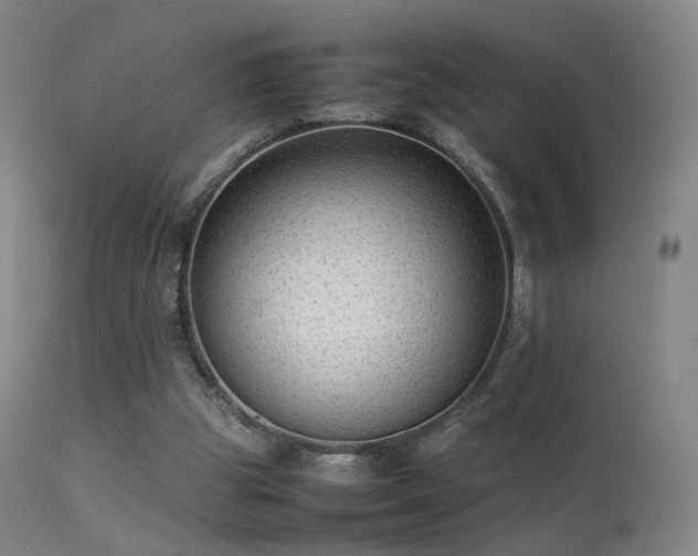 X0000113260153200909171658