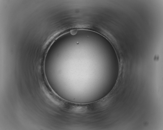 X0000113260155200909171658