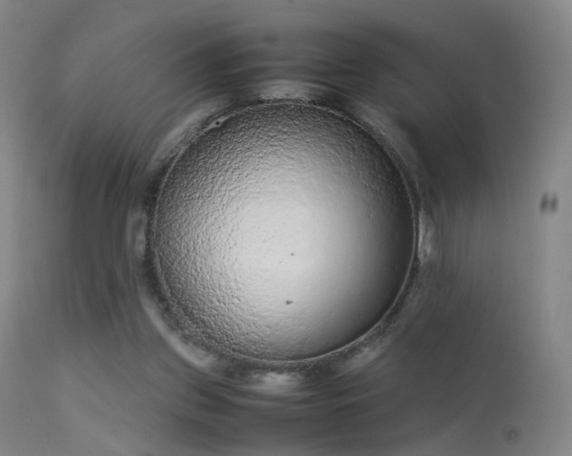 X0000113260157200909171658