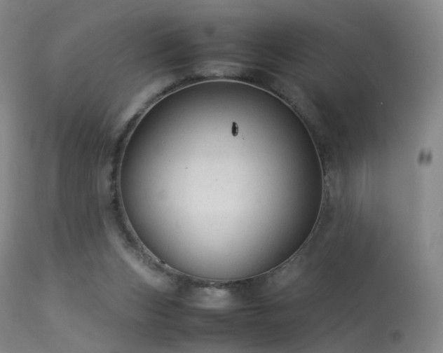 X0000113260159200909171658