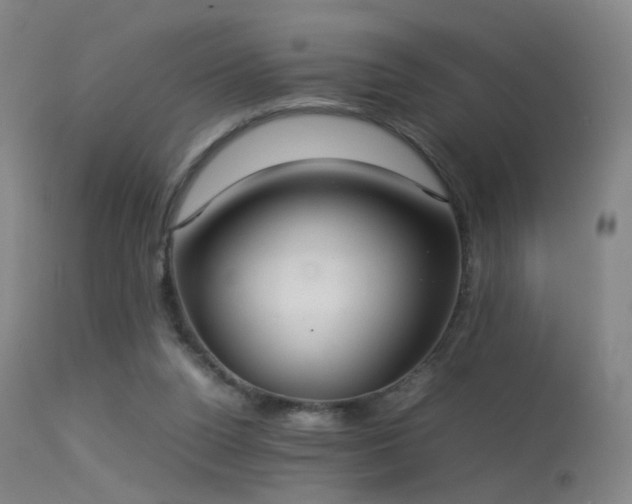 X0000113260160200909171658