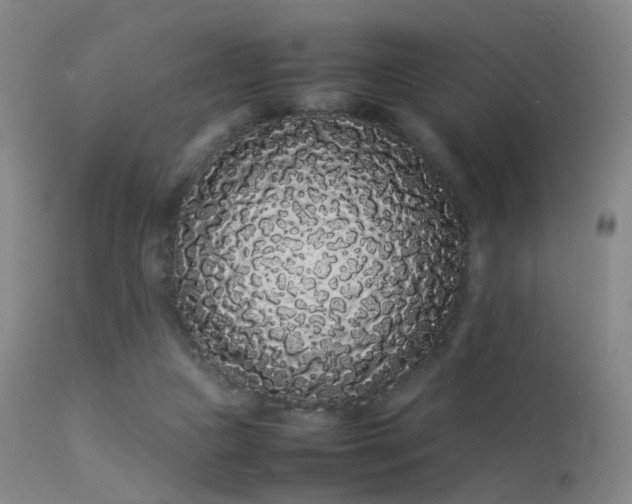 X0000113260161200909171658