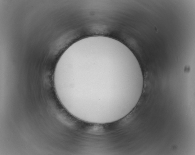 X0000113260162200909171658