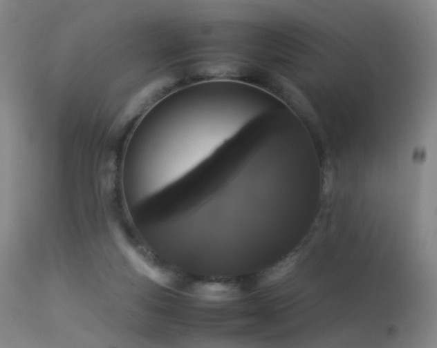 X0000113260163200909171658