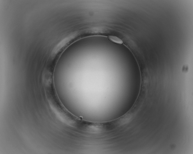 X0000113260164200909171658