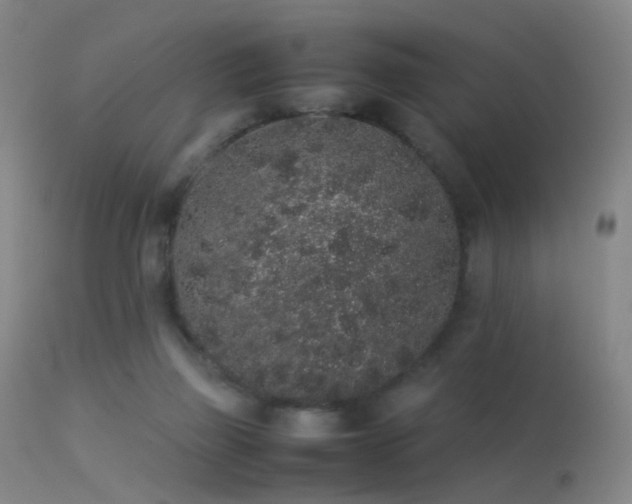 X0000113260165200909171658